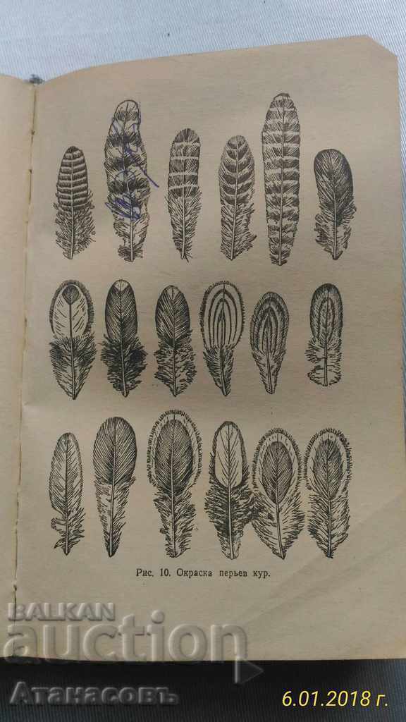 Livrarea Păsări de carte Ptitsevodstvo 1963