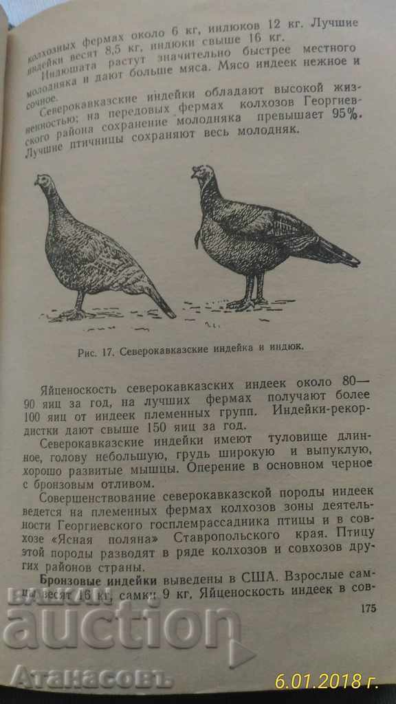 Păsări de carte Ptitsevodstvo 1963 - 6