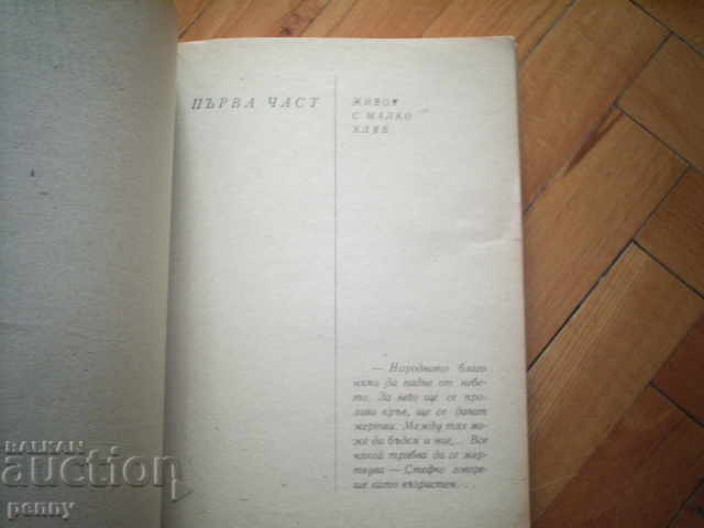 Auction DOUBLE LIFE - GRIGOR STOICHKOV Auction DOUBLE LIFE - GRIGOR STOICHKOV