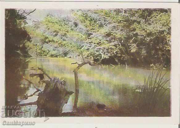 Καρτ ποστάλ Βουλγαρία Kamchia ποταμού 12 *