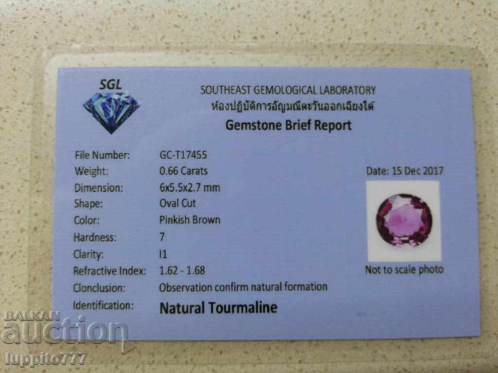 Δημοπρασία 0,66 καρατίων πιστοποιητικό τουρμαλίνη SGL Δημοπρασία 0,66 καρατίων πιστοποιητικό τουρμαλίνη SGL