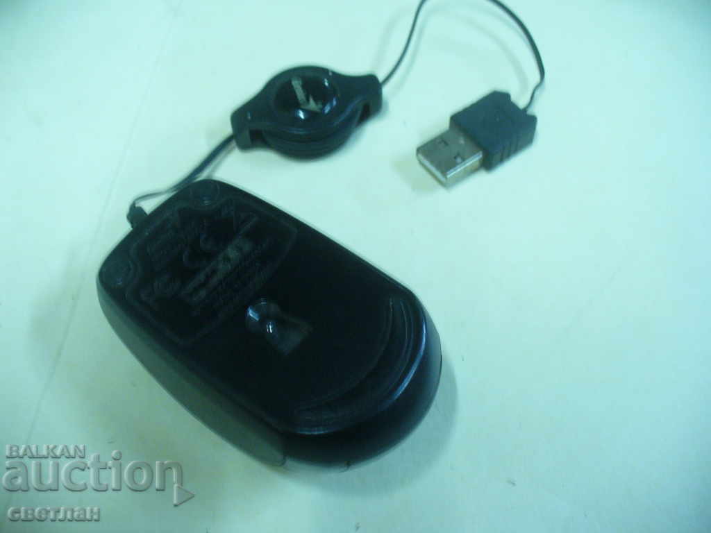 Auction  COMPLETE MASK