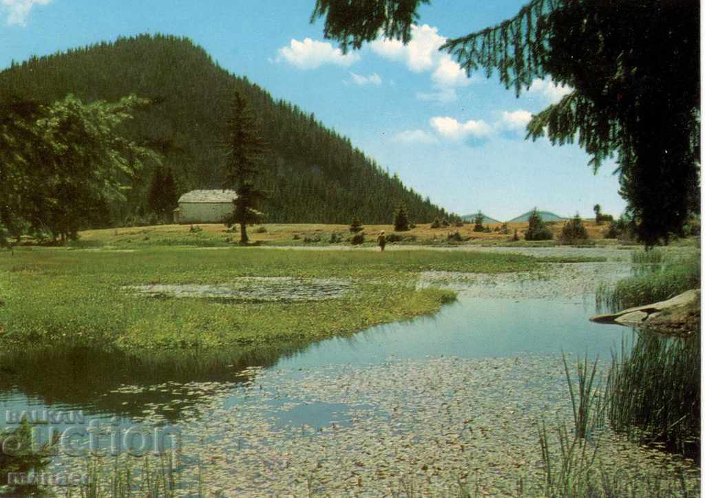Стара пощенска картичка - Смолян, Езерата