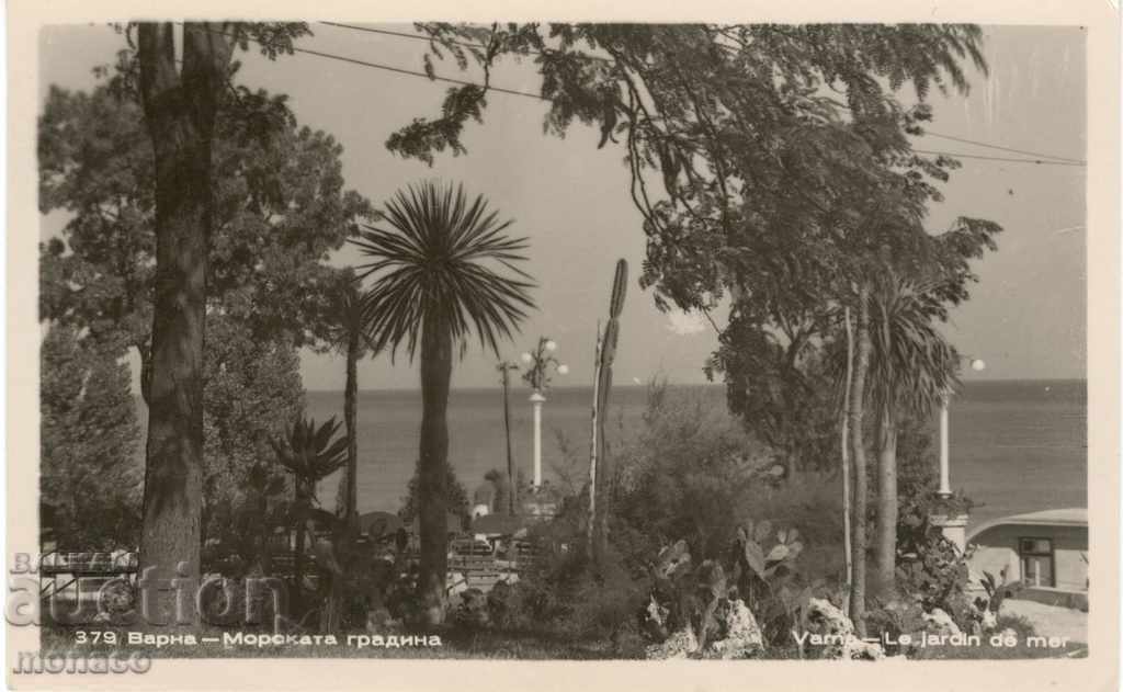 Old postcard - Varna, Sea Garden