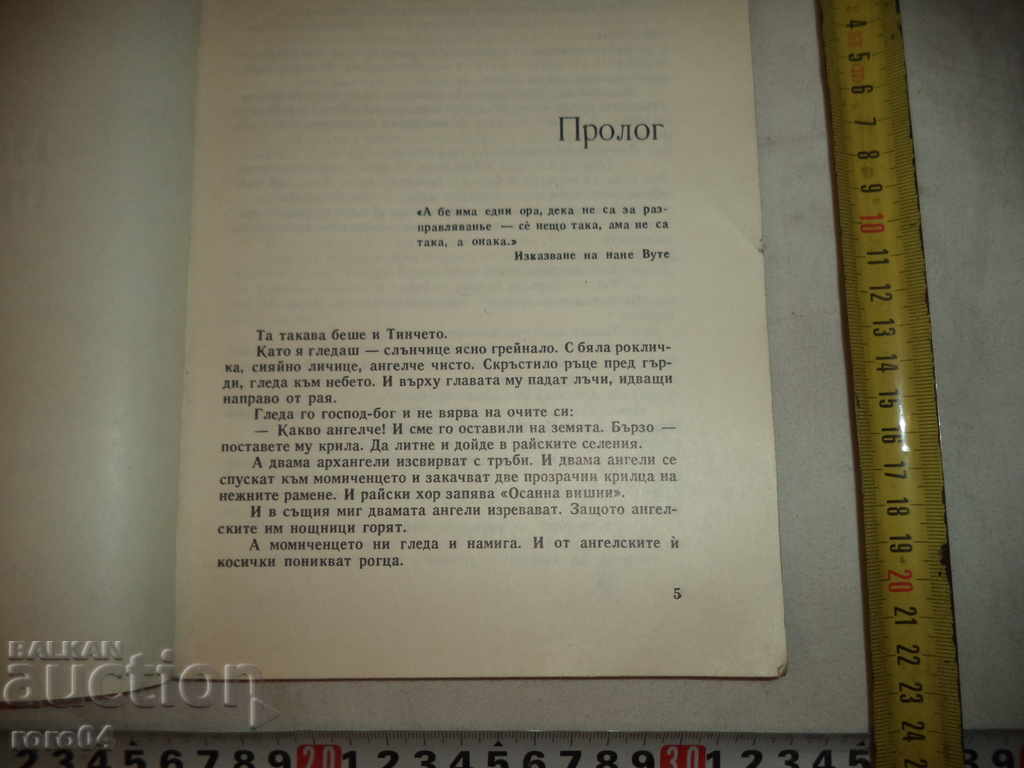Аукцион НЕВЕРОЯТНИТЕ ПРИКЛЮЧЕНИЯ НА ПЕШО - ВАСИЛ ЦОНЕВ