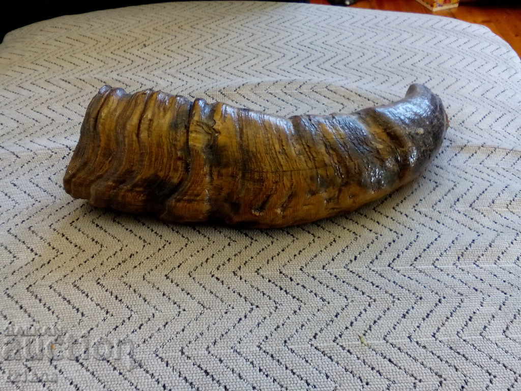 Δημοπρασία κέρατο κέρατο σκόνη Δημοπρασία κέρατο κέρατο σκόνη