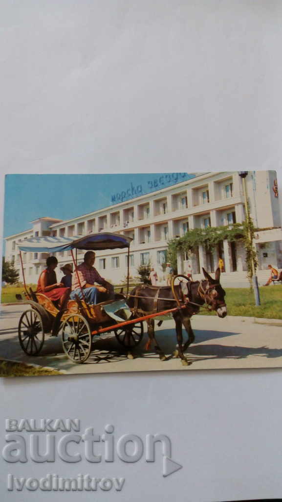 Postcard Golden Sands Hotel Sea Star