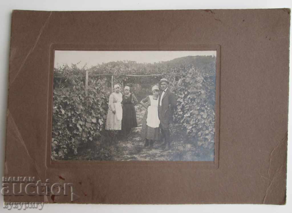 Δύο παλιές φωτογραφίες φωτογραφίες από χαρτόνι καλλιεργητές grapegatherer με τιμή 30.00 BGN | € 15.34 Δύο παλιές φωτογραφίες φωτογραφίες από χαρτόνι καλλιεργητές grapegatherer με τιμή 30.00 BGN | € 15.34