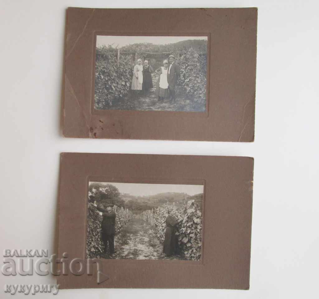 Δύο παλιές φωτογραφίες φωτογραφίες από χαρτόνι καλλιεργητές grapegatherer