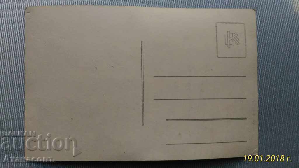 Old Photo Girls Navy Uniforms with price 10.00 BGN | € 5.11