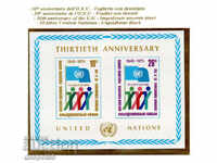1975. ООН-Ню Йорк. Юбилей. 30 г. ООН. Блок.