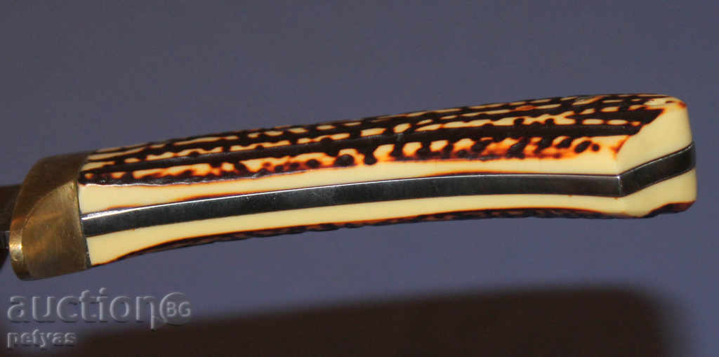 Knife, hunting and survival "COLUMBIA SA 20" 170/295 - 7