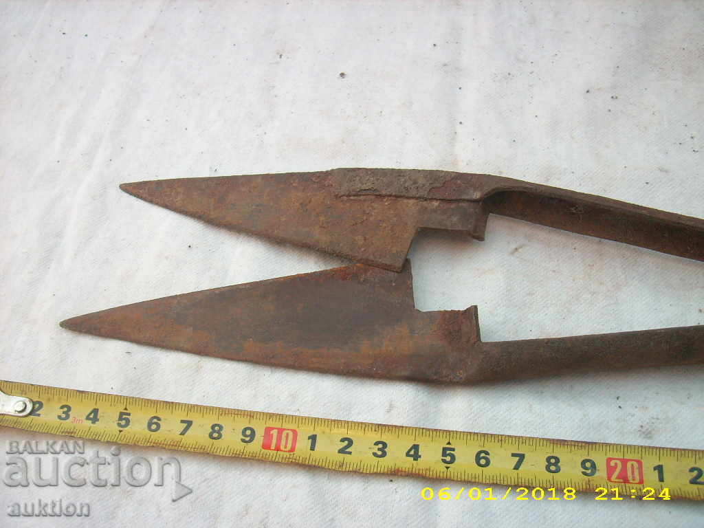 Auction STAR HORSES HORSE SHOOT BALL WITH MARKING Auction STAR HORSES HORSE SHOOT BALL WITH MARKING