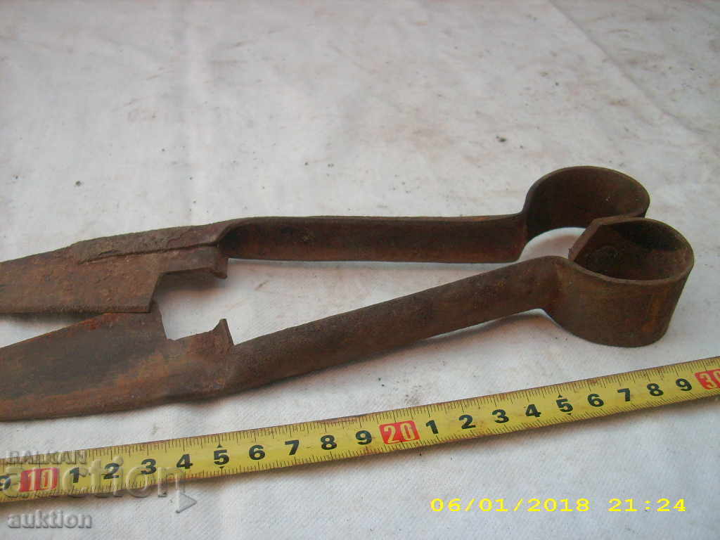 Delivery of STAR HORSES HORSE SHOOT BALL WITH MARKING Delivery of STAR HORSES HORSE SHOOT BALL WITH MARKING