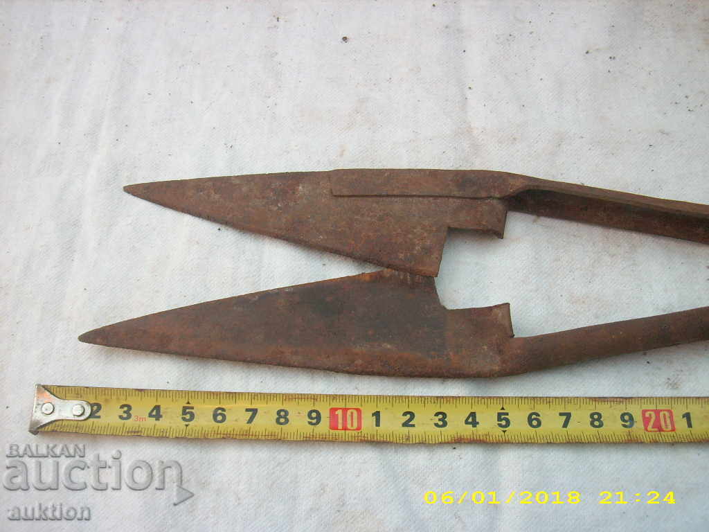 STAR HORSES HORSE SHOOT BALL WITH MARKING - 5 STAR HORSES HORSE SHOOT BALL WITH MARKING - 5