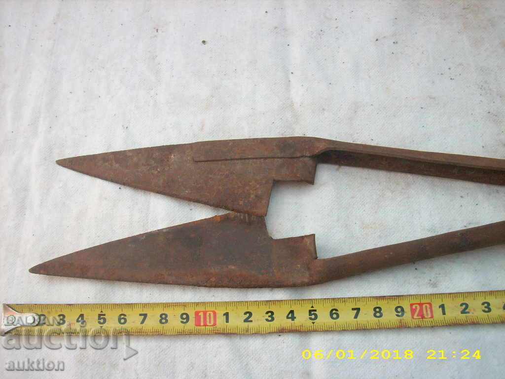 STAR HORSES HORSE SHOOT BALL WITH MARKING - 7 STAR HORSES HORSE SHOOT BALL WITH MARKING - 7