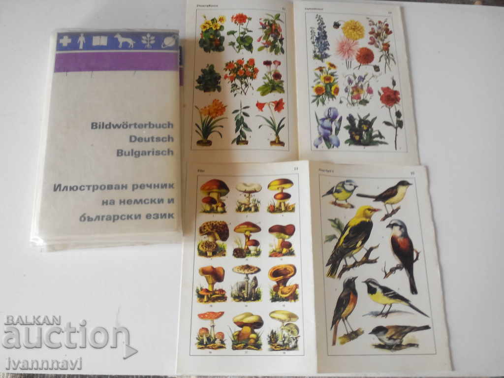 Auction  German-illustrated dictionary in German and Bulgarian