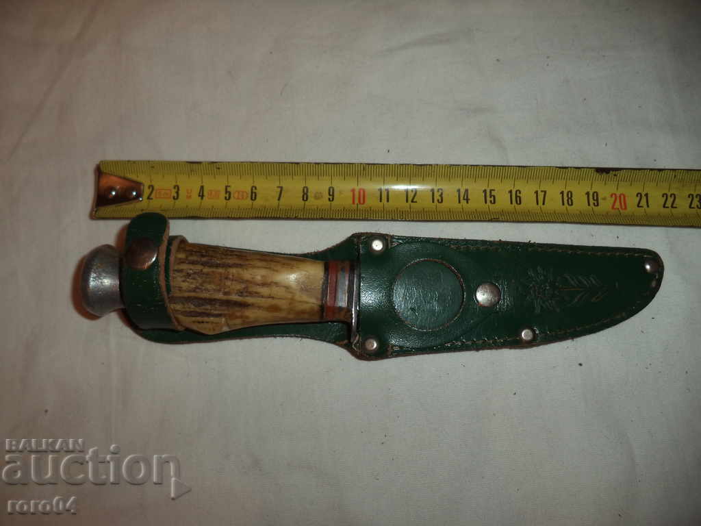 STAR GERMAN HUNTING BUCK - 6 STAR GERMAN HUNTING BUCK - 6