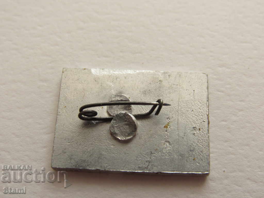 Delivery of Badge: Novokuznetsk Delivery of Badge: Novokuznetsk