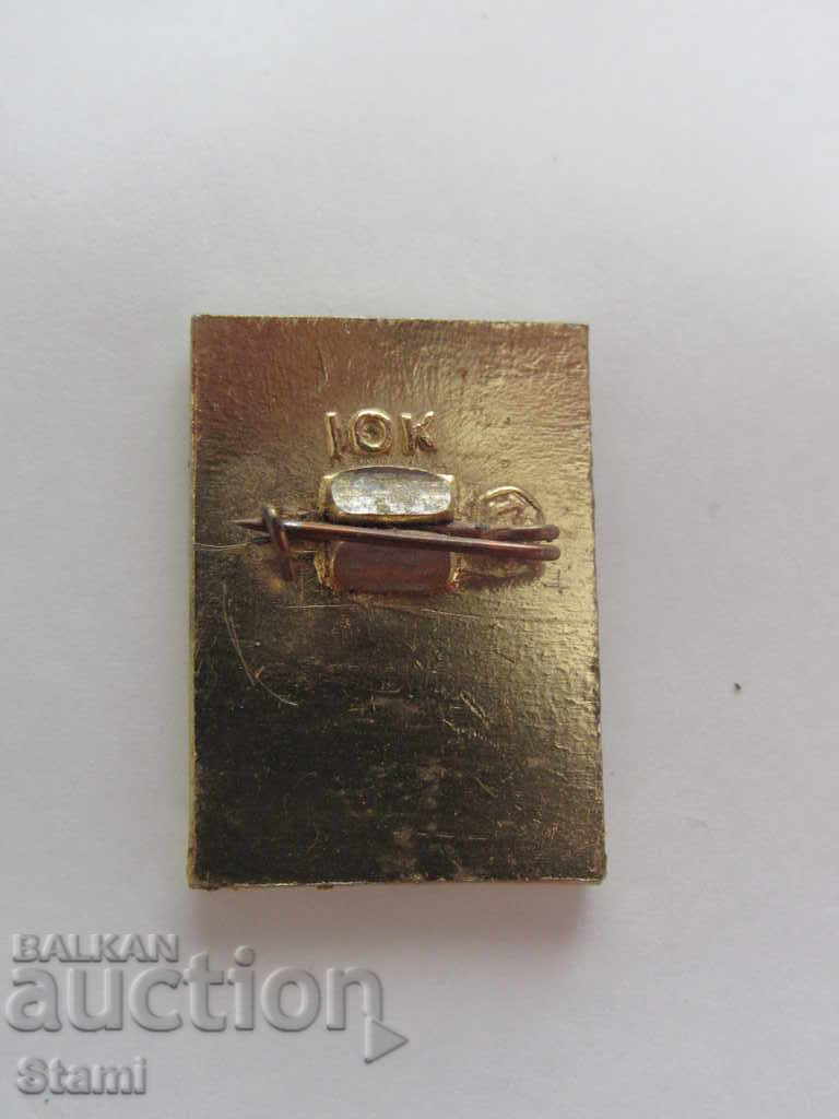 Auction Badge: Fake Auction Badge: Fake