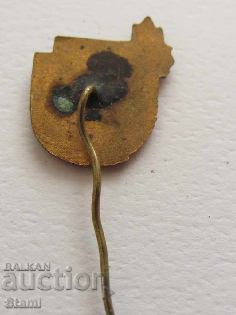 Delivery of Badge: Young tourist Delivery of Badge: Young tourist