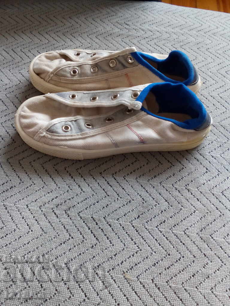 Delivery of Old sneakers, canvas PIRIN Delivery of Old sneakers, canvas PIRIN