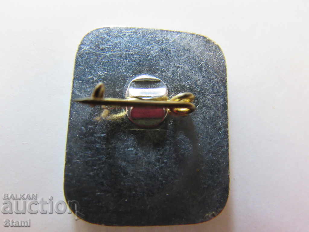 Auction  Pin-The Liberty Monument-ver. Shipka