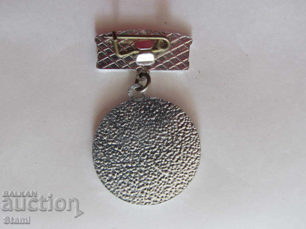 Auction  Badge: She performed excellent CM Rodina