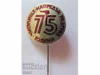 Badge: 75 years Chitalishte "Napredak" Razgrad