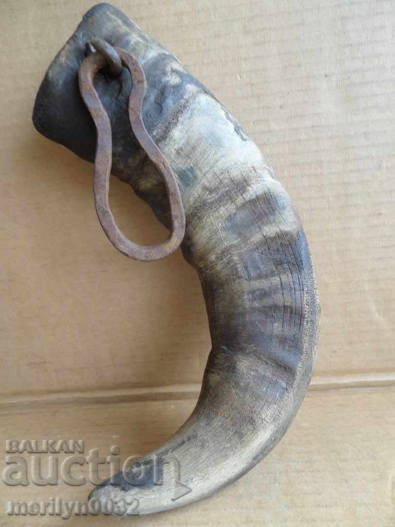 Bismarck hazelnut tarnata - 5 Bismarck hazelnut tarnata - 5