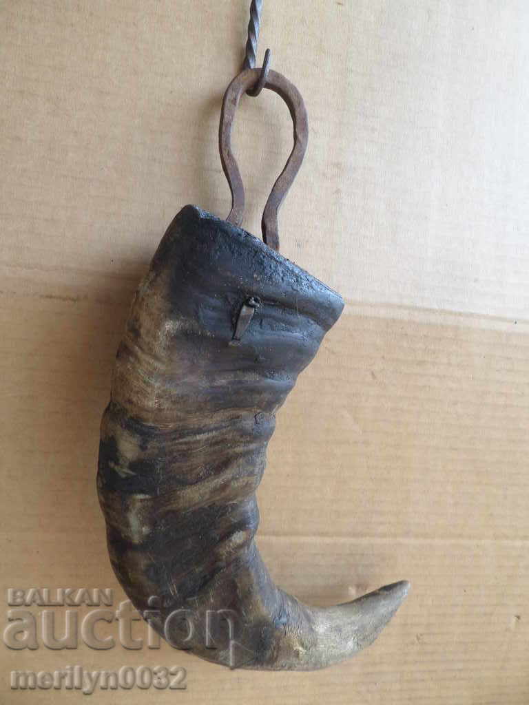 Bismarck hazelnut tarnata - 6 Bismarck hazelnut tarnata - 6