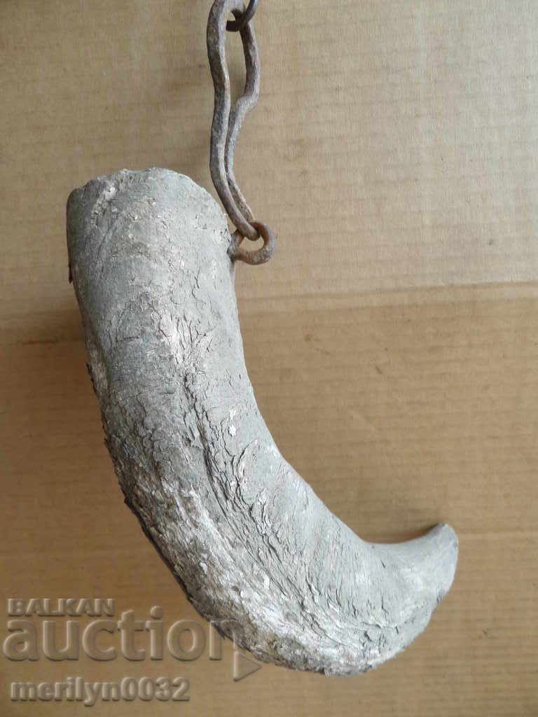 Bismarck hazelnut tarnata - 5 Bismarck hazelnut tarnata - 5