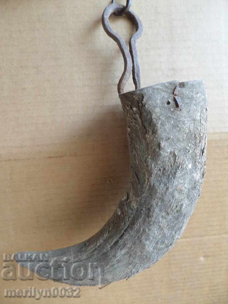 Bismarck hazelnut tarnata - 7 Bismarck hazelnut tarnata - 7