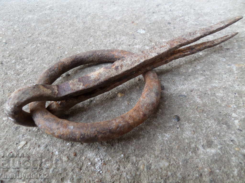 Delivery of Wrought iron gypsy ring Delivery of Wrought iron gypsy ring