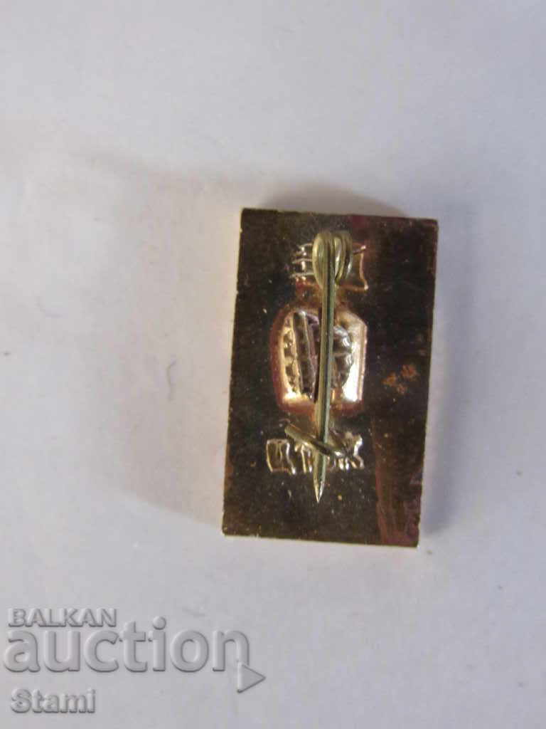 Auction Badge: Chernigov Desna Auction Badge: Chernigov Desna