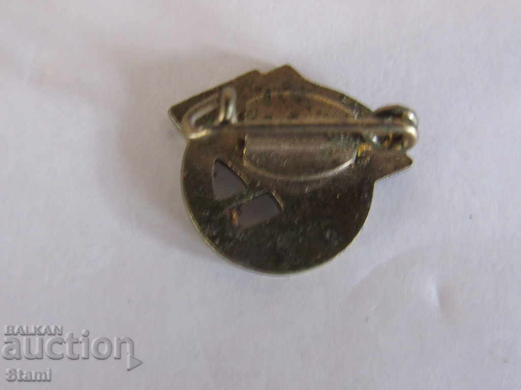 Delivery of Badge: Deutsh sowjet freuhosh / German-Soviet friendship Delivery of Badge: Deutsh sowjet freuhosh / German-Soviet friendship