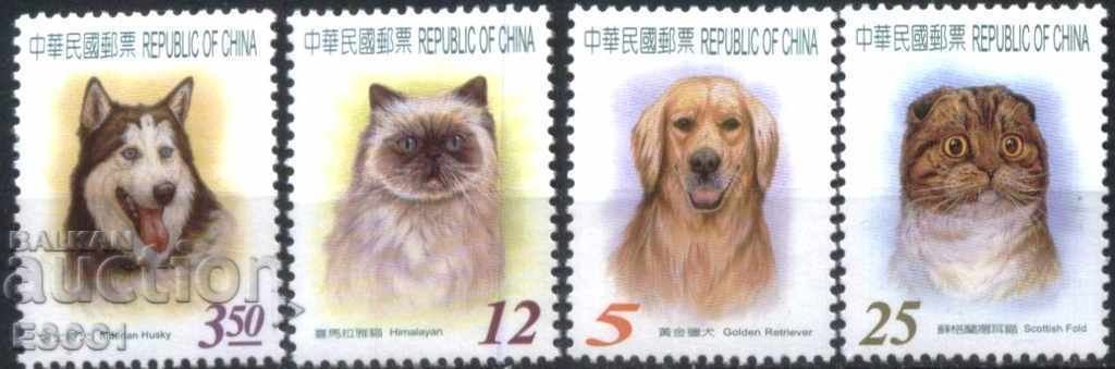Calificativele curate Fauna câini și pisici 2005 din Taiwan
