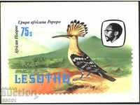 Καρτ ποστάλ Bird Μάρκα 1981 από Λεσότο