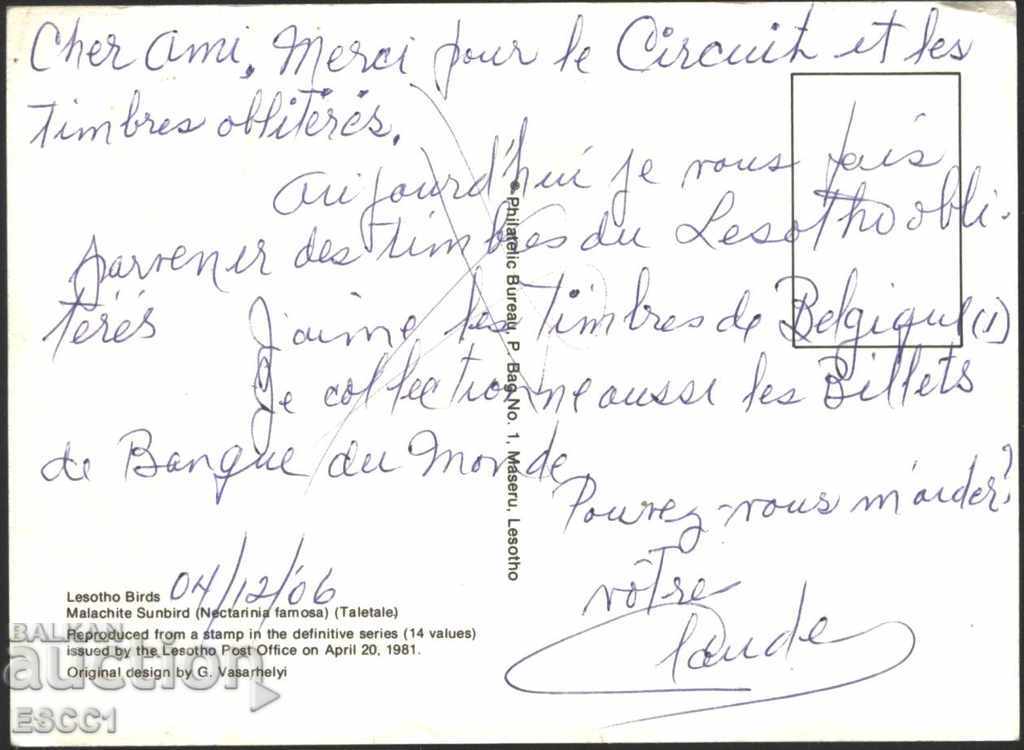 Пощенска картичка Марка Птица 1981 от Лесото с цена 2.00 лв. | € 1.02 Пощенска картичка Марка Птица 1981 от Лесото с цена 2.00 лв. | € 1.02