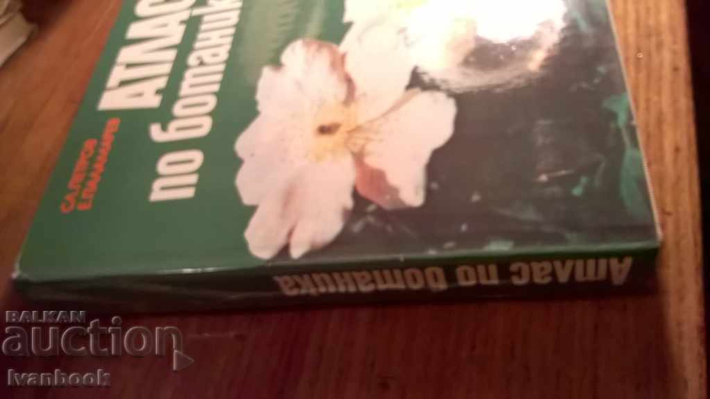 Atlas at Botanica - Public Enlightenment with price 4.00 BGN | € 2.05 Atlas at Botanica - Public Enlightenment with price 4.00 BGN | € 2.05