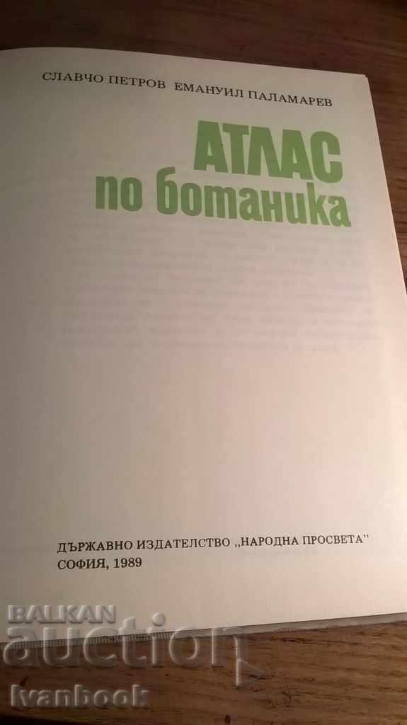 Delivery of Atlas at Botanica - Public Enlightenment Delivery of Atlas at Botanica - Public Enlightenment