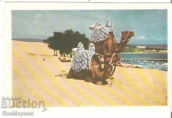 Картичка  България  Несебър Източният плаж*