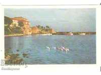 Καρτ ποστάλ Βουλγαρία Nessebar Δείτε 8 *