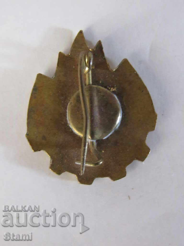 Auction Badge: TOT NAINTE / Romanian pioneering organization Auction Badge: TOT NAINTE / Romanian pioneering organization