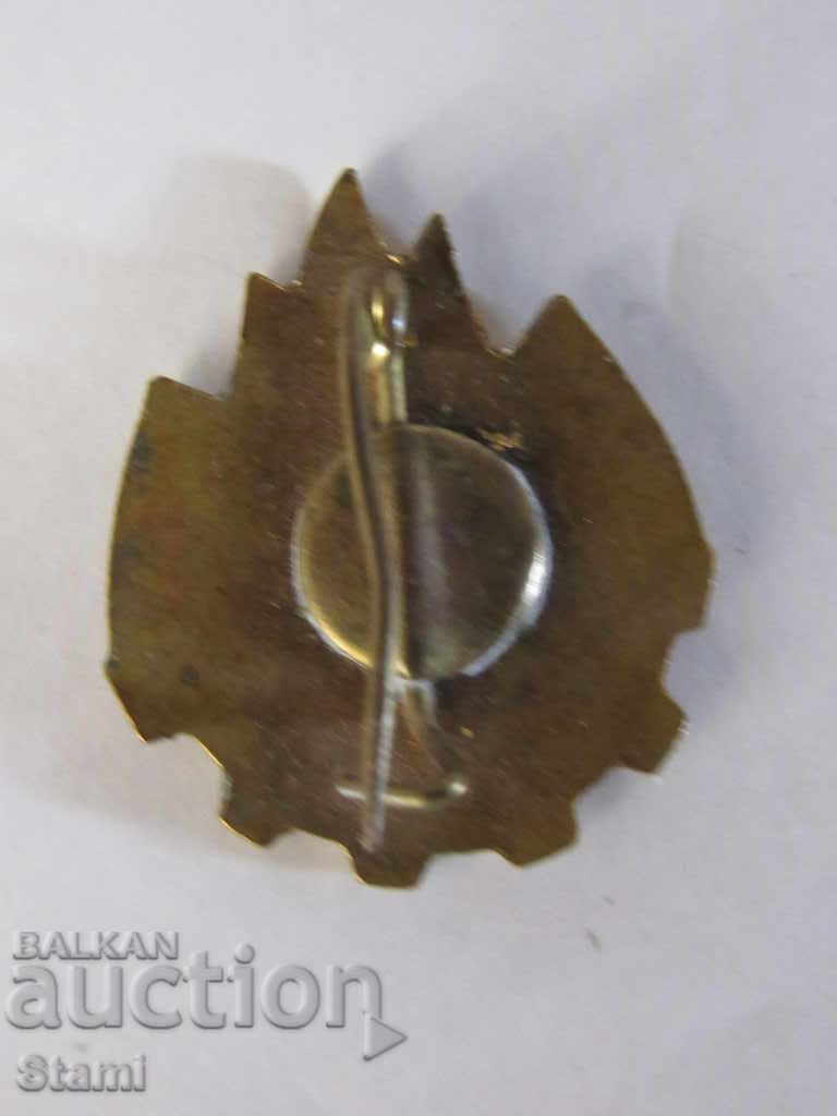 Delivery of Badge: TOT NAINTE / Romanian pioneering organization Delivery of Badge: TOT NAINTE / Romanian pioneering organization