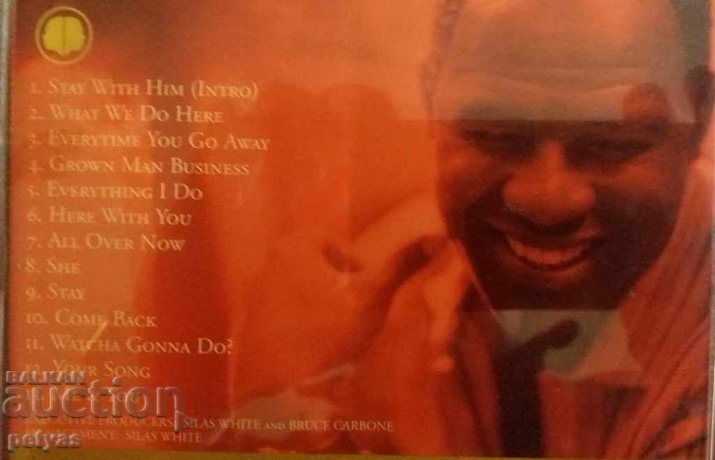 Auction SD Brian McKnight GEMINI Auction SD Brian McKnight GEMINI