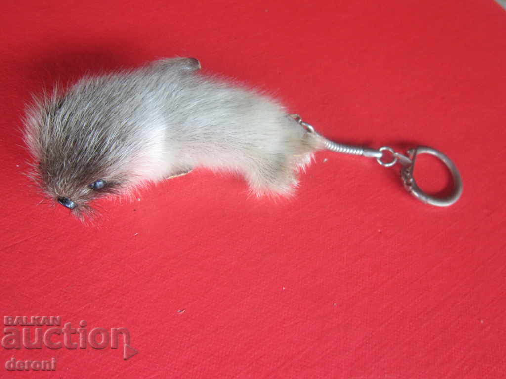Delivery of German key chain beaver seal toy Delivery of German key chain beaver seal toy