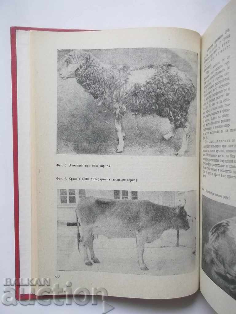 Domestic non - communicable diseases of farm animals with price 18.00 BGN | € 9.20 Domestic non - communicable diseases of farm animals with price 18.00 BGN | € 9.20