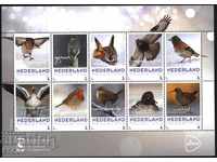 Чисти марки в малък лист Фауна Птици 2017 от Холандия