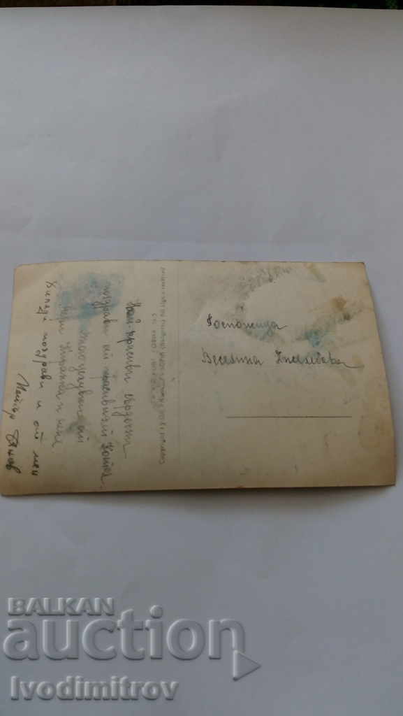 K Kolea Alley in the Pine Forest at Izvorite Gr. Paskov with price 3.75 BGN | € 1.92